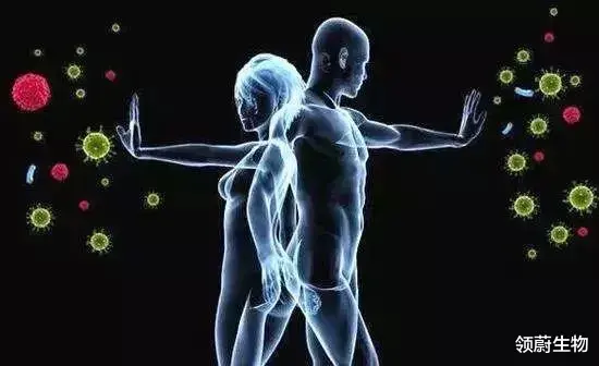 免疫系统出现异常，间充质干细胞能治疗吗？