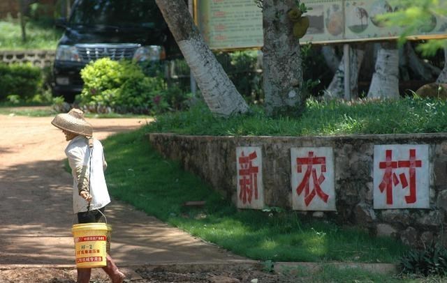 若珍|农村将停止房屋确权？新的政策已出台，今后一律“这样”处理