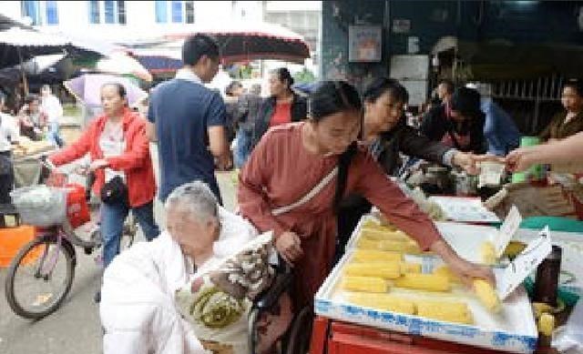 萌听小c姐|95后“孝心妹”带着瘫痪奶奶上大学，是何原因让她作出如此决定？