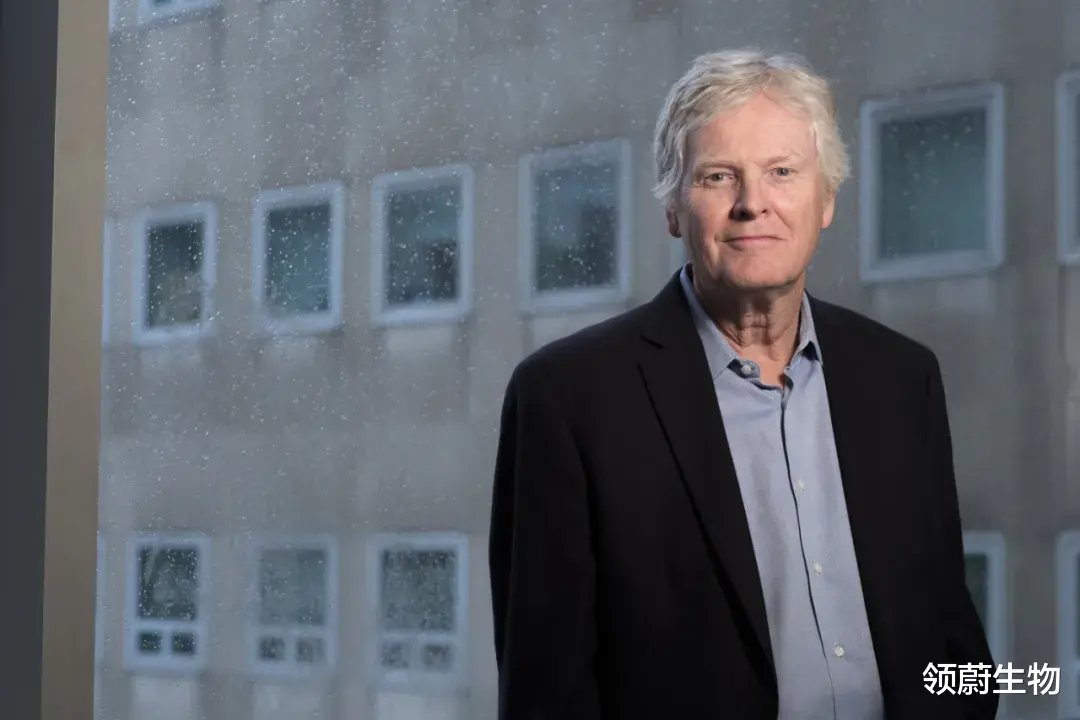 神经元 诺奖团队最新发现：孤独是一种病，连果蝇都会睡不着觉