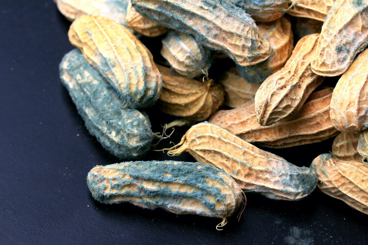 NANA谈健康|早上起床，肝不好的人可能有6种表现，若一个不占，恭喜肝还健康