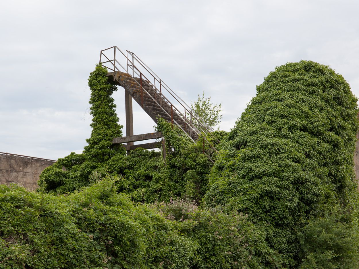法国摄影师的摄影作品  记录了独特的美景