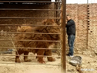 每天都是潮人|神回复:女朋友因为我没有腹肌,要和我分手,她是认真的吗?
