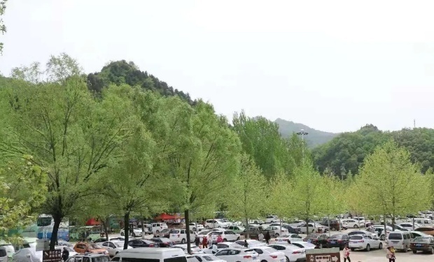 星耀见闻 卢氏旅游春意浓,人气旺