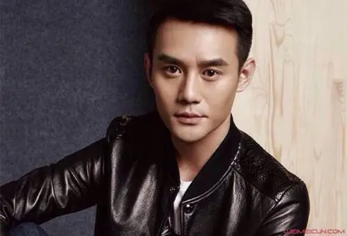 王凯|上映5天被迫下架，“国剧一哥”变“票房毒药”？王凯到底怎么了