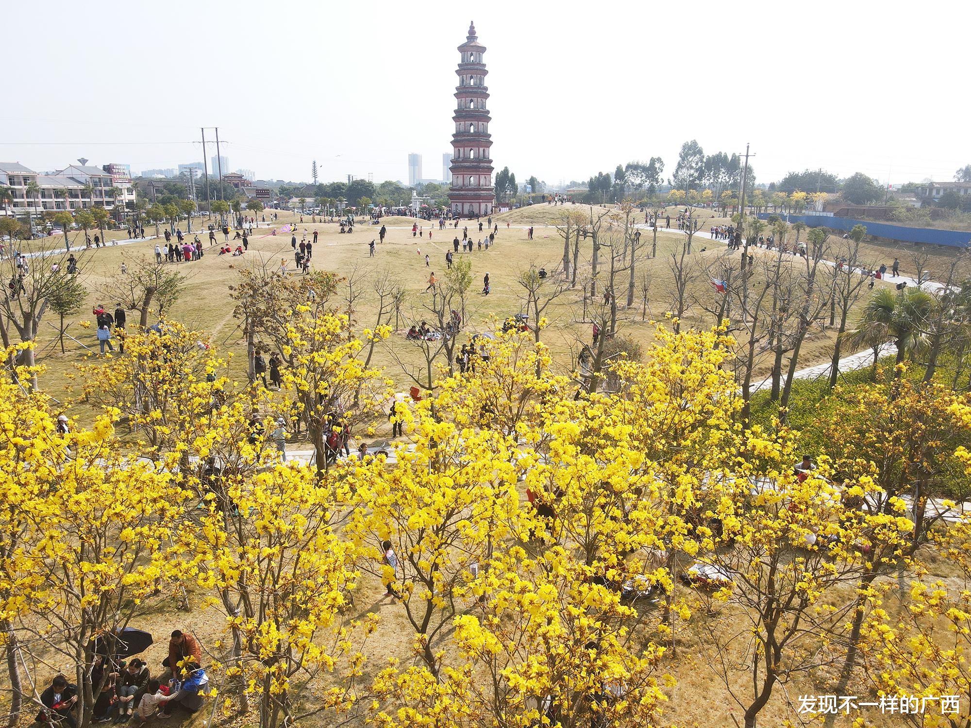 发现不一样的广西 北海市将新增5家4A级景区，廉州湾区域将成最大的赢家