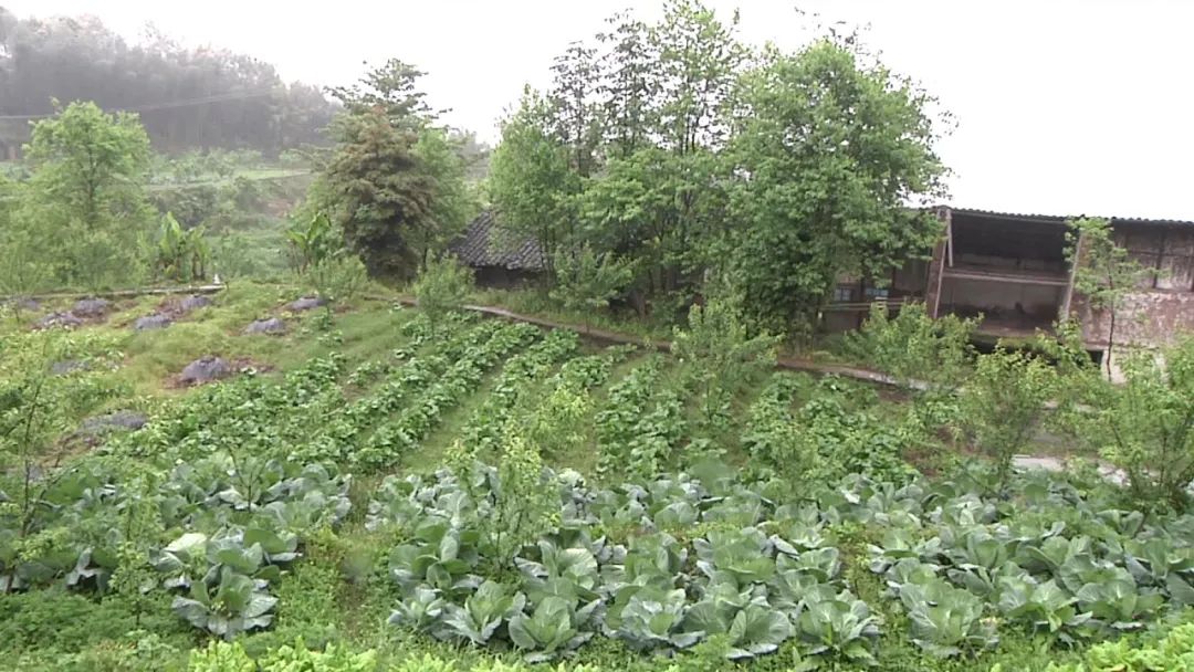 赤水融媒 赤水市农村信用合作联社：加大金融服务，助力乡村振兴