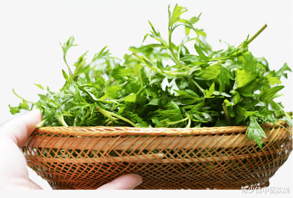 蚕豆病|医案分享:蚕豆病--参艾汤