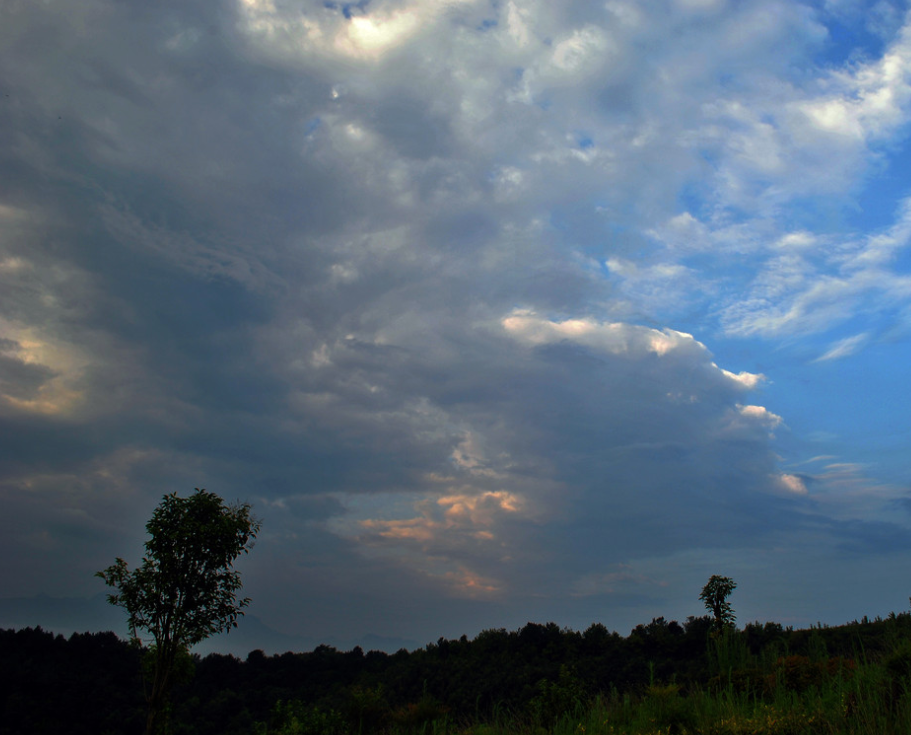 行走在路上的阿狸|(15)我是急性子,你是慢性子,慢热的你也能感受到我对你的爱吧?