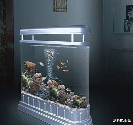 龙吟师傅教大家正确摆放鱼缸来旺财运