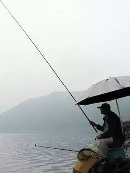 |春季使用蚯蚓钓鲫鱼，这样做能很快上鱼——盛世三渔