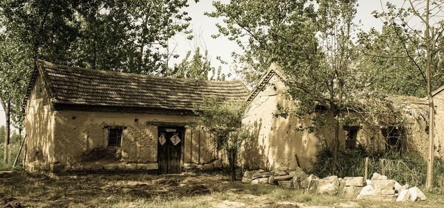 奶豆说育儿|为何见蛇不能打？菜花蛇潜伏养殖场偷吃十多只鸡，王锦蛇有多厉害