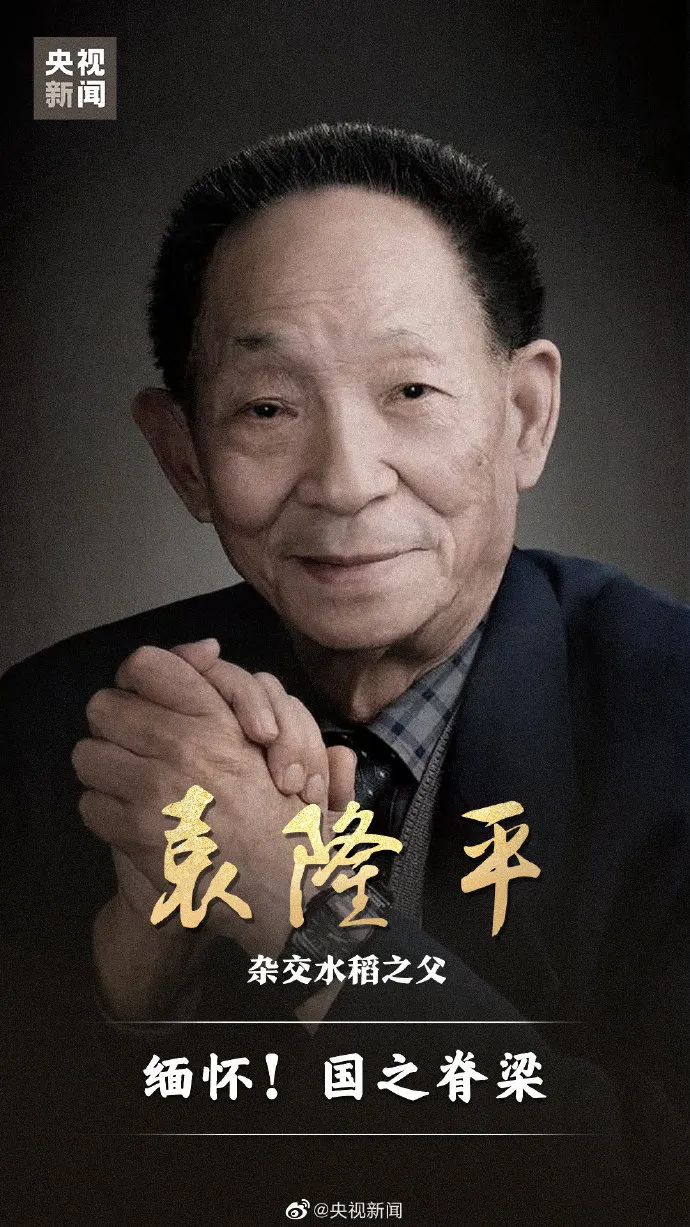 你好吴所畏 袁隆平逝世!“谢谢您,喂养了中国人的灵魂”