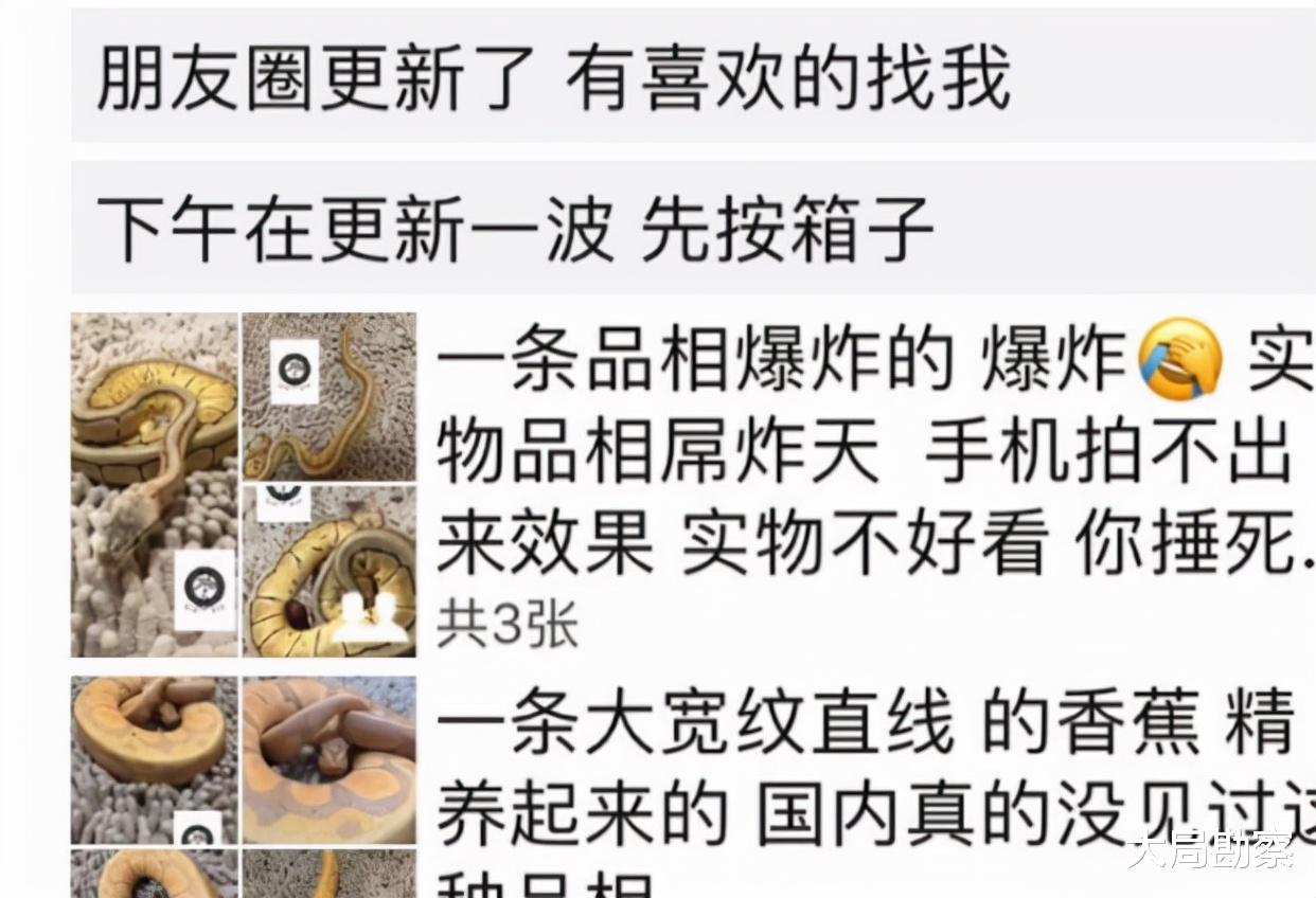 魅族|微信“新规”出台，出现6种行为将“永久封号”，不少人都已中招