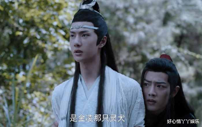 魏无羡|陈情令：金凌为何那么怕含光君呢？蓝湛为何对仙子的叫声如此熟悉