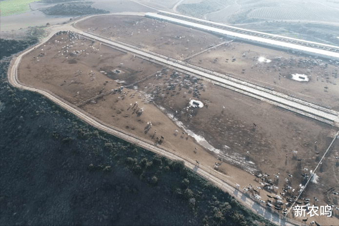 布氏鲸 为什么这个时代还有粮食危机，全球真的缺粮吗？真相不过如此