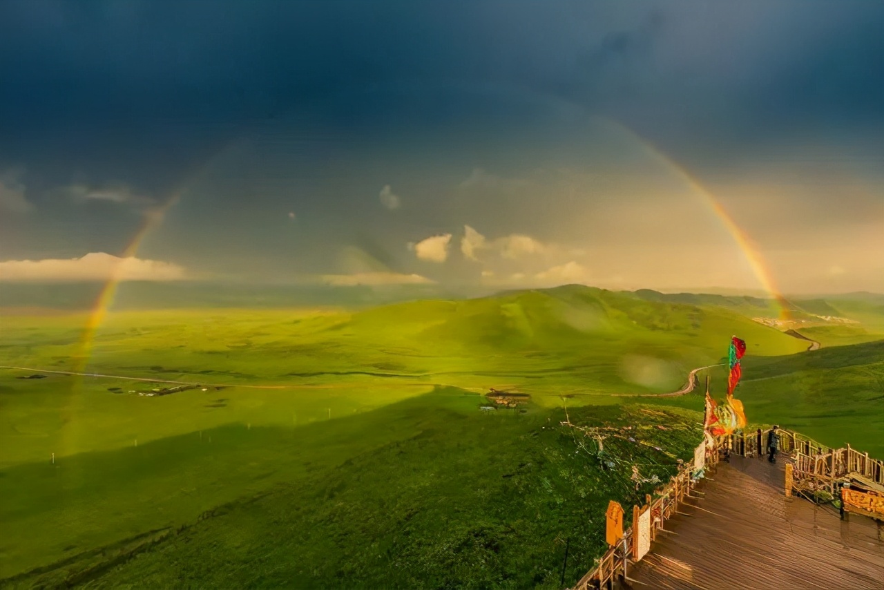伊犁 有一种美,叫夏天的草原