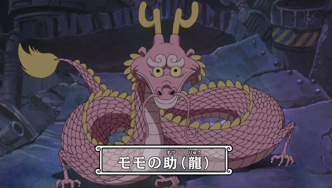 巴基|海贼王能力者后悔吃下的果实,其中甚至有碾压白胡子震震的存在?