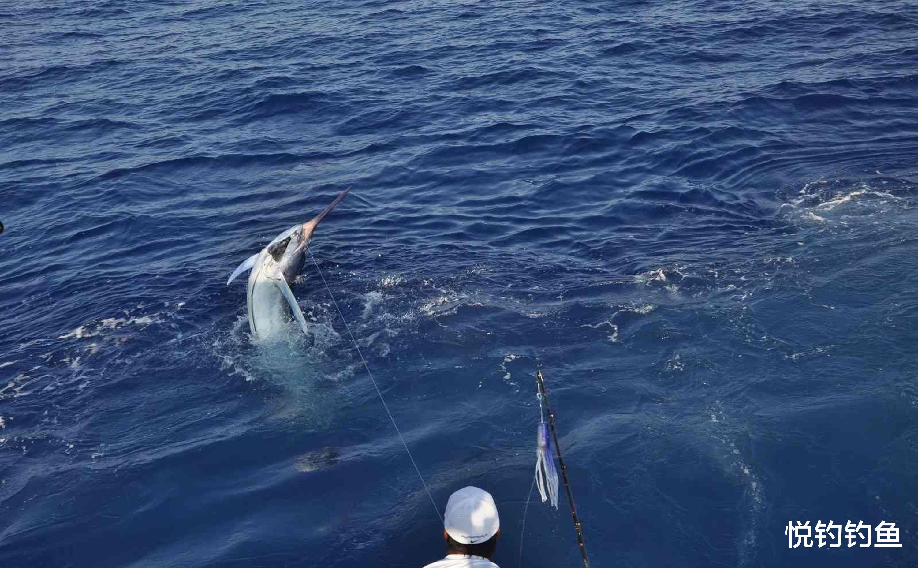 文物|常有人羡慕海员可以随时钓鱼,但其实海员钓鱼也有自己的规矩……