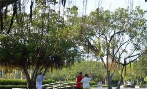 72岁老汉与失足女发生关系时死亡，家属向女子索赔20万，法院判了