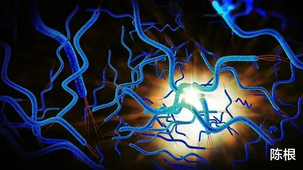 核糖核酸 陈根：S蛋白增加病毒突变，Delta毒株渐成优势变种