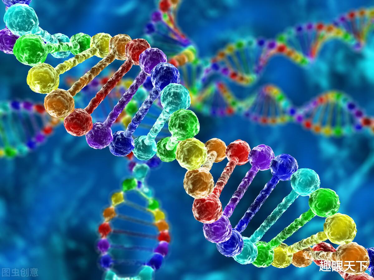 基因 中国文化是唯一传承高维文明的超级文化？2024年起它将征服全世界！