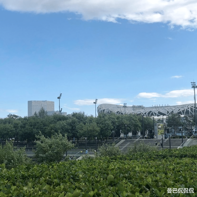 曼巴侃侃侃 “鸟巢”再次引起关注，网友质疑运营价值，何时能回本？