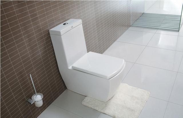 马桶上一大一小的按钮该怎么按？原来都按错了