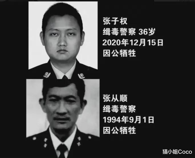 猫小姐Coco 他要复出，全网都在抵制……