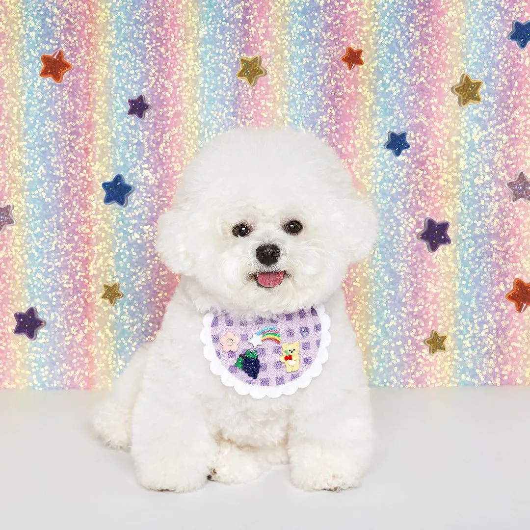 InsDaily 韩国快乐小奶狗爆红网络!看完心都快萌化了!