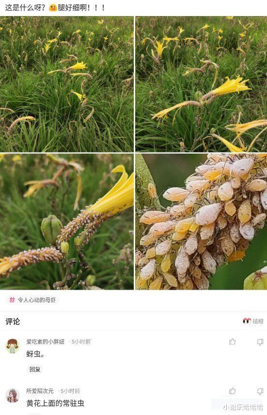 神回复|神回复：西医叫我不要用力，中医让我多活动，我该相信谁呢？