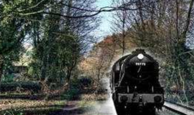 科学家 神秘的“幽灵列车”，车上104人离奇失踪，科学家上车也再次失踪