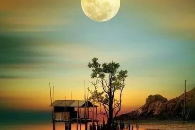 许敏|主播之间闹矛盾，网友心焦，希望尽快冰释前嫌，一起携手查真相