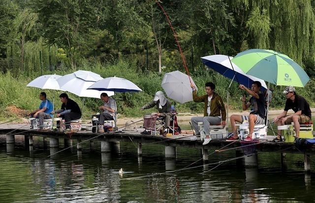 江苏省|扬州一男子无视警示牌，高压线下钓鱼被电倒，上衣被电成碎布条