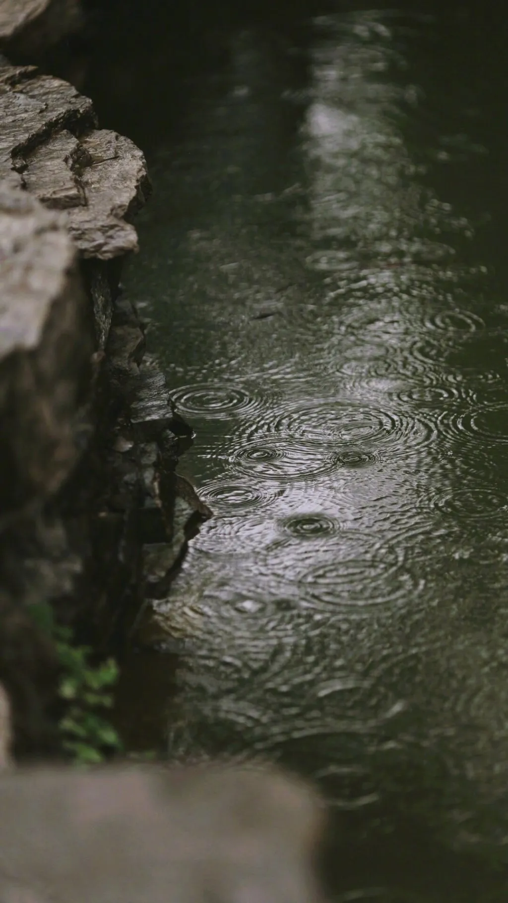 最惬意的生活,其实就是在小院中找到最佳栖居地!
