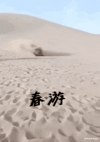 幽默搞笑神回复|神回复：“15元以内，最好抽的烟是什么呀？”网友：未成年别抽！