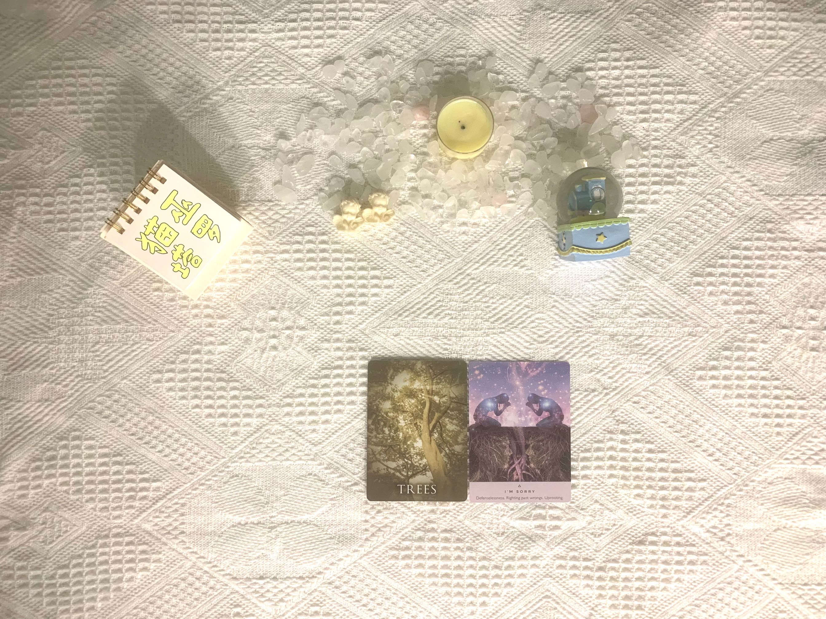 猫巫塔罗|猫巫塔罗：巨蟹座未来半月运势，负面的困扰涌现，行动方向不明确