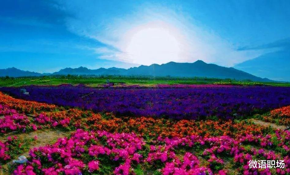 二线城市|人的一生会面临4次挑选城市的抉择，怎么选才能使自己利益最大化？