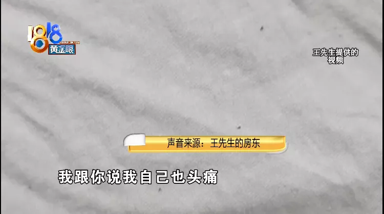 二房东|有床不睡 睡飘窗，说是对床有了阴影