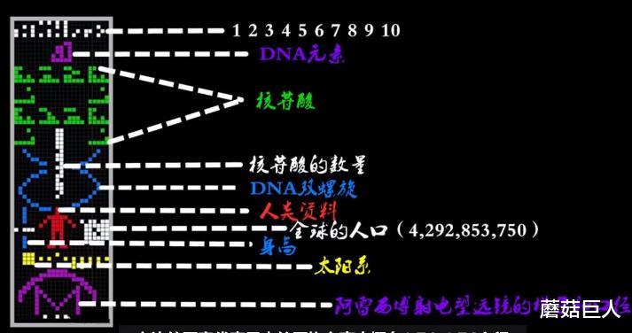 金字塔 异星人的黑幽默,星际之门拯救史前人类,人类还能相信历史吗?
