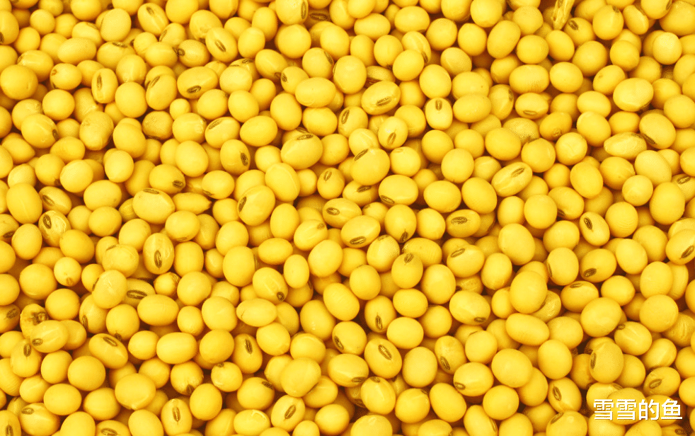 医院|各个医院联合声明:1“粗粮”尽快停止食用,容易加速甲状腺病变,趁早扔掉