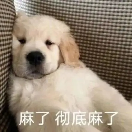 吴亦凡|天降大锅！这可能是本年度最惨综艺了吧……