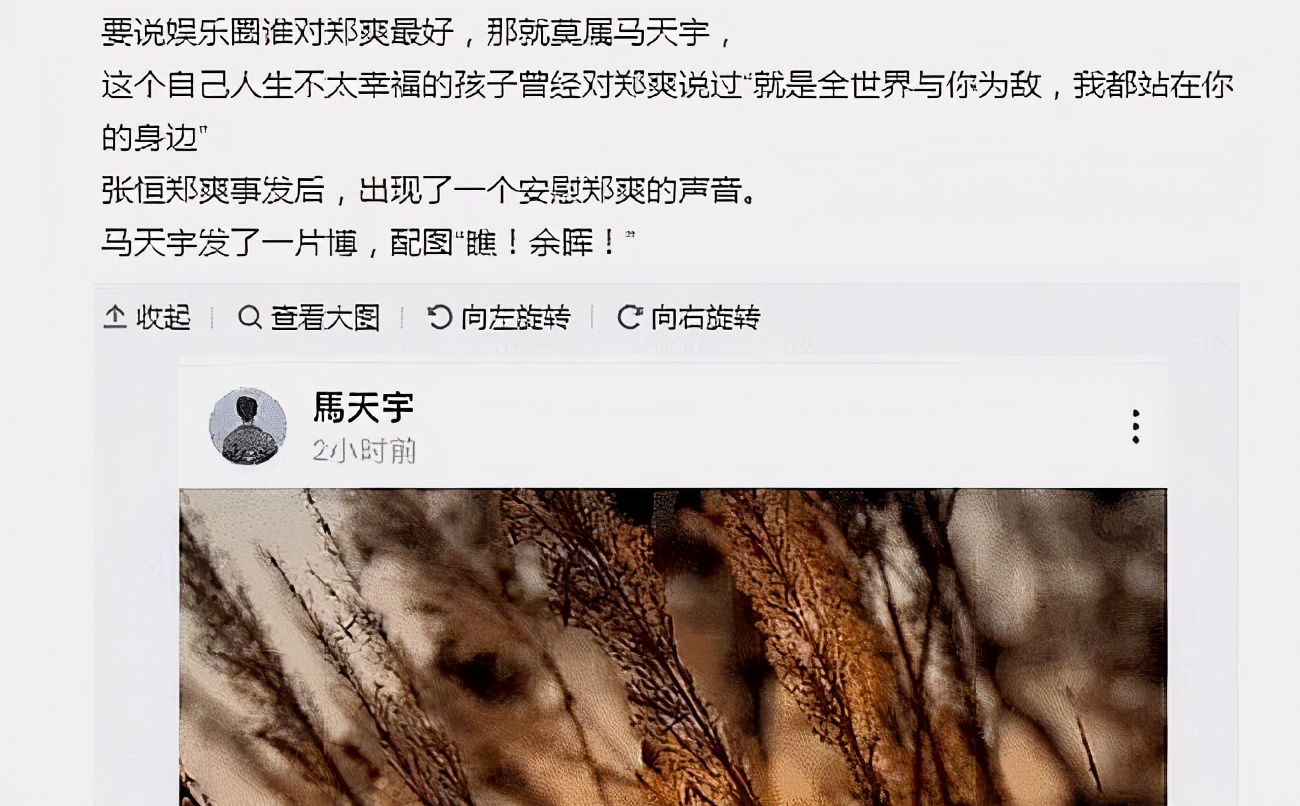 李小璐|郑爽一落千丈，被曝四处借钱碰壁，娱乐圈只有一人对她不离不弃