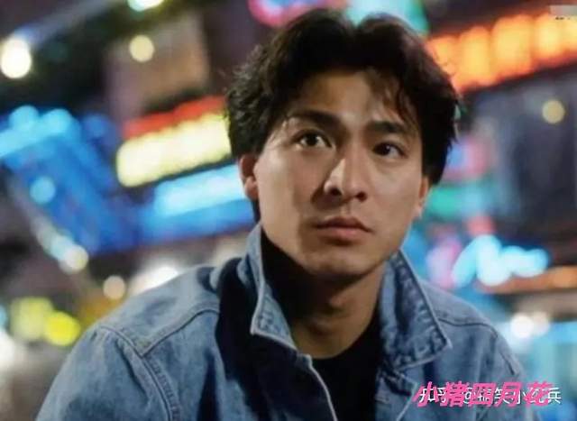 刘德华|香江第一美男的17岁人生