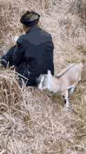 基因|“白化病的棕熊，每次被动保组织发现，都会送到北极！”