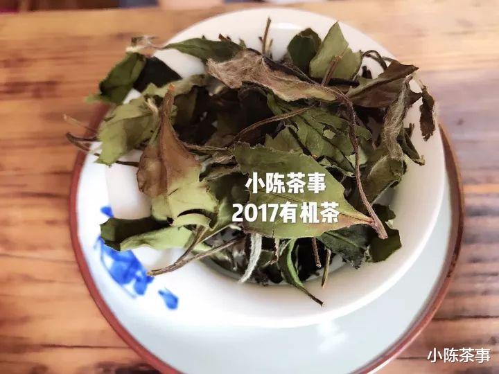 秋老虎|从制茶工艺、适制树种、适饮期出发，3个角度解开白茶和绿茶区别