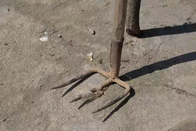 微趣图|农村民间20种老物件,都曾是年幼时的回忆,看看哪些记忆最深?