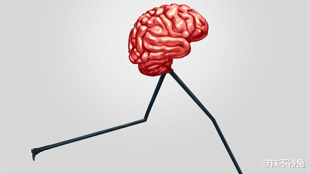  因为出现的不多，或许只有少部分知晓的21个猎奇冷知识