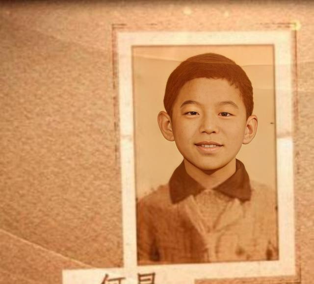 何炅|何炅的故事不简单，纯粹的感情并不闪耀，时人不识凌云木是真谛