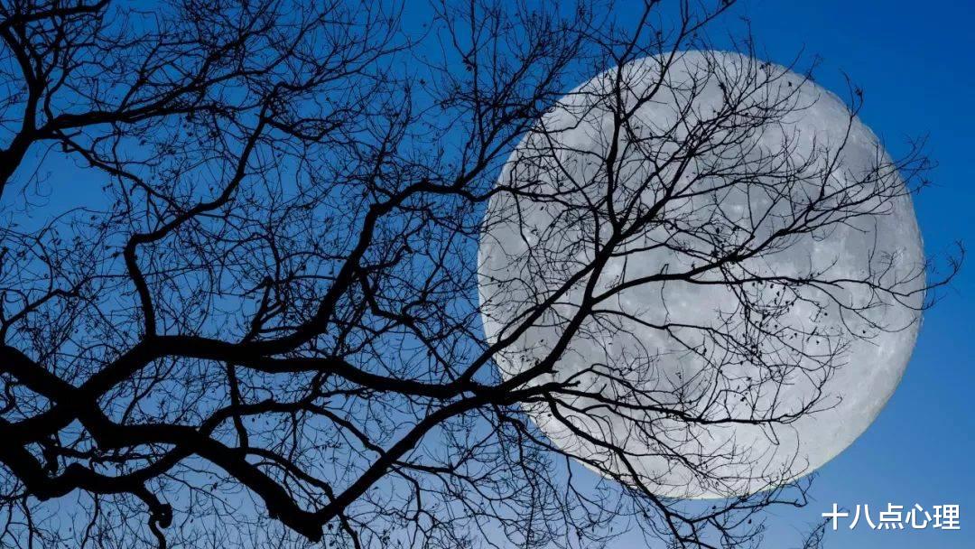 十八点心理|人的欲望定制得太高，难以实现后，就体验不到小幸福的感觉